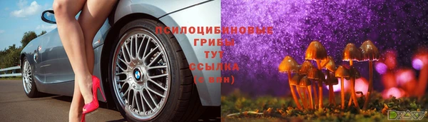 хмурый Горно-Алтайск