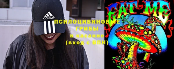 хмурый Горно-Алтайск