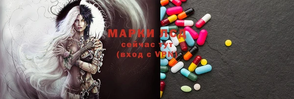 хмурый Горно-Алтайск